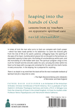 Load image into Gallery viewer, Leaping into the Hands of God: Lessons from My Teachers on Hypostatic Spiritual Care